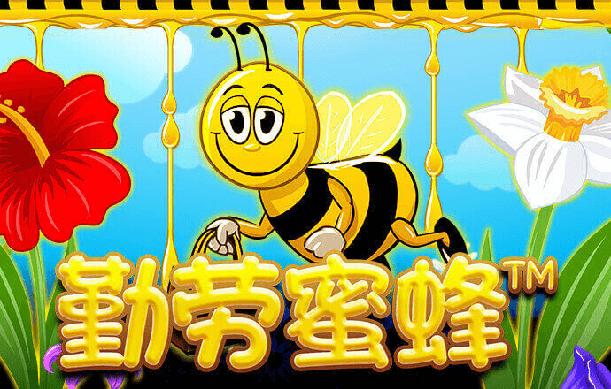 博乐体育平台怎么样